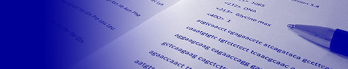 Header 1